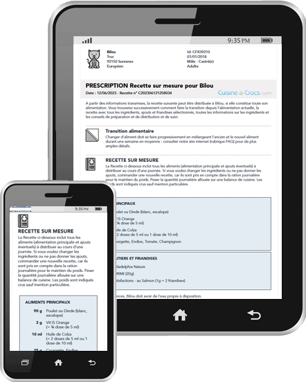 recette pour un chat cuisine-a-crocs mobile